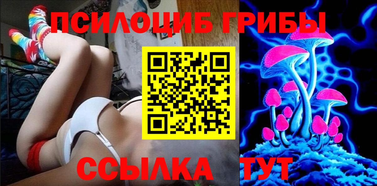 Шадринск  Псилоцибиновые грибы Psilocybine cubensis  Вход с VPN 